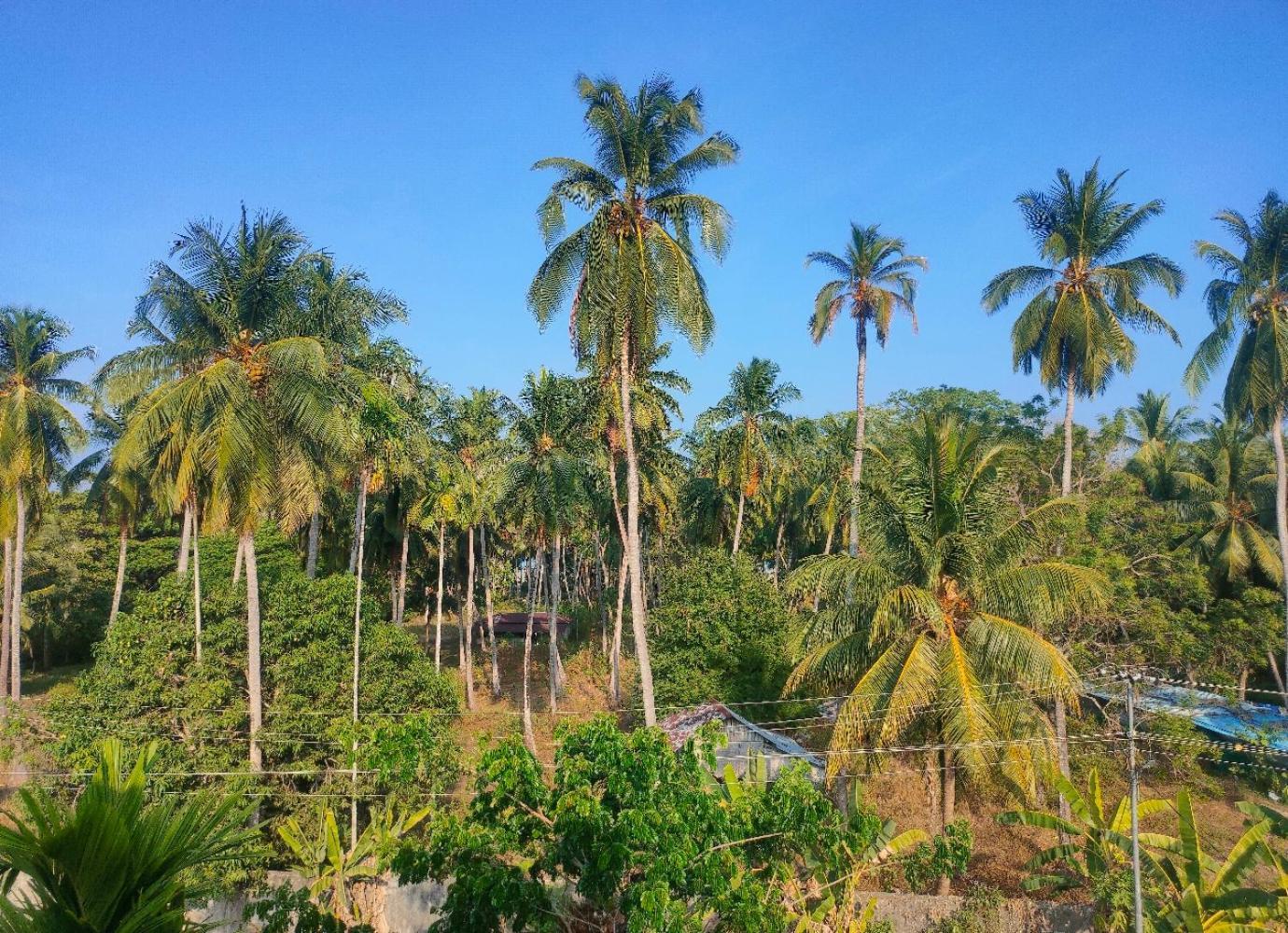 Anibesh Hotel Vijay Nagar Beach Exterior foto